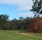 Mulberry Cottage - Accommodation Gold Coast