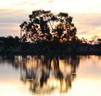 Myuna Bay Sport and Recreation Centre - Accommodation Gold Coast