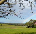 Pebble Bay Cottage - Accommodation Gold Coast