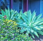 Retreat Homestead - Accommodation Gold Coast