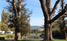 Sand Cottage - Accommodation Gold Coast 1