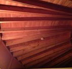 Sea Cottage - Accommodation Gold Coast
