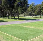 Spotted Gums on Hermitage - Accommodation Gold Coast