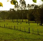 Stone Cottage Mittagong - Accommodation Gold Coast