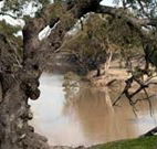 Valley View Cottage Hunter Valley - Accommodation Gold Coast