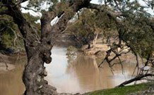 Valley View Cottage Hunter Valley - Accommodation Gold Coast 0