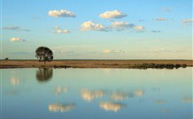 Valley View Cottage Hunter Valley - Accommodation Gold Coast 4