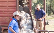 Valley View Cottage Hunter Valley - Accommodation Gold Coast 7