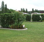 Wheatfield Cottage - Accommodation Gold Coast