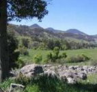 Woolshed Hill Estate - Accommodation Gold Coast