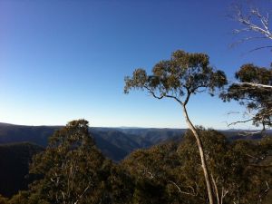 Cheyenne Wilderness Farmstay - Accommodation Gold Coast 5