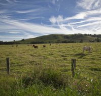 Annas Retreat - Accommodation Gold Coast