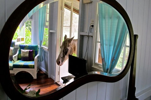 Noosa Avalon Farm Cottages - Accommodation Gold Coast 10