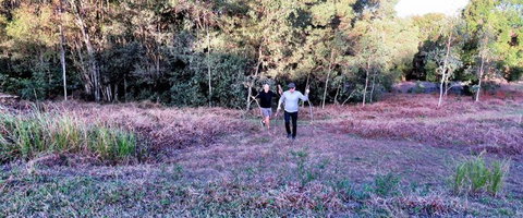 Noosa Avalon Farm Cottages - Accommodation Gold Coast 9