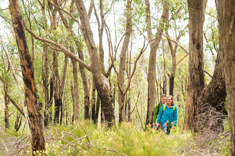 Mt Lofty YHA - Accommodation Gold Coast 8