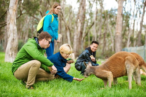 Mt Lofty YHA - Accommodation Gold Coast 7