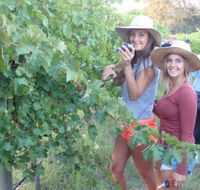 McLaren Vale Backpackers - Accommodation Gold Coast