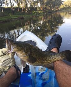 Maidenhead QLD Accommodation Gold Coast