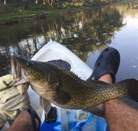 Dumaresq Homestead - Accommodation Gold Coast