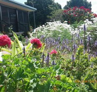 Eastwood Farm - Gold Coast 4U