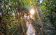 O'Reilly's Rainforest Retreat - thumb 0