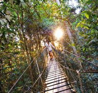 O'Reilly's Rainforest Retreat - Accommodation Gold Coast