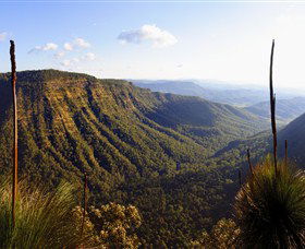 O'Reilly's Rainforest Retreat - Accommodation Gold Coast 3