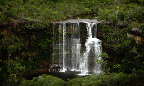 Haggerstone Island Resort - Accommodation Gold Coast 6