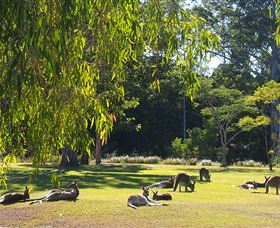 Bellmere On Richards - Accommodation Gold Coast 2