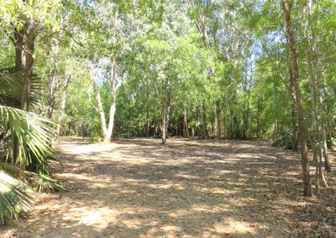 Bitter Springs Cabins And Camping - Accommodation Gold Coast 5