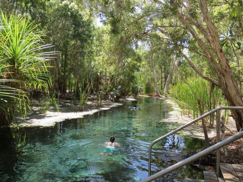 Bitter Springs Cabins And Camping - Accommodation Gold Coast 6