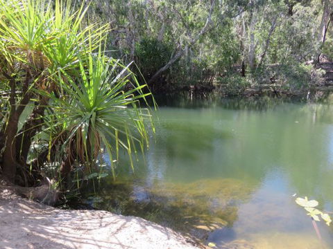 Bitter Springs Cabins And Camping - Accommodation Gold Coast 7
