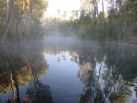 Bitter Springs Cabins And Camping - Accommodation Gold Coast 8