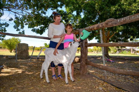 Bullo River Station - Accommodation Gold Coast 3