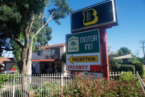 Forest Lodge Motor Inn And Restaurant - Accommodation Gold Coast 1