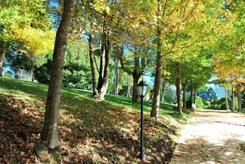 Huntington Cottage - Accommodation Gold Coast 7