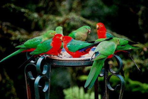 Huntington Cottage - Accommodation Gold Coast 8