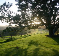 Kilfeacle Farm Cottage - Accommodation Gold Coast