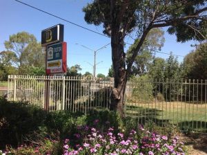 Forest Lodge Motor Inn And Restaurant - Accommodation Gold Coast 0