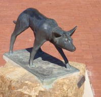 The Ardlethan Kelpie Caravan Park - Accommodation Gold Coast