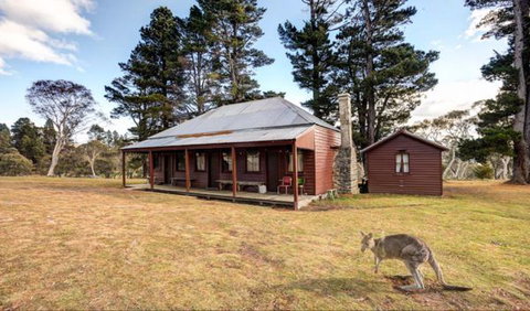 The Pines Cottage - Accommodation Gold Coast 1