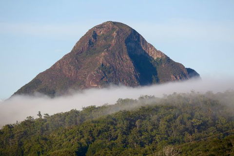 Blackwattle Farm Bed And Breakfast And Farm Stay - Accommodation Gold Coast 9