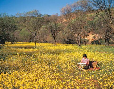 Wolfe Creek Crater Camp At Wolfe Creek Crater National Park - Gold Coast 4U 20