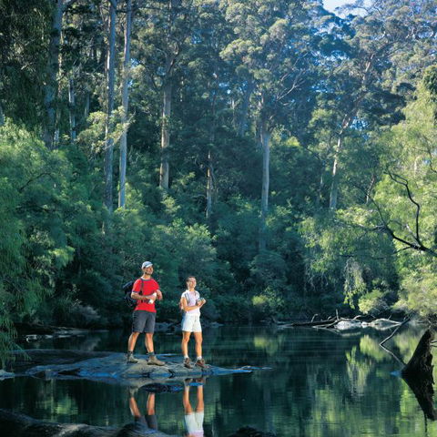 Wolfe Creek Crater Camp At Wolfe Creek Crater National Park - Gold Coast 4U 11