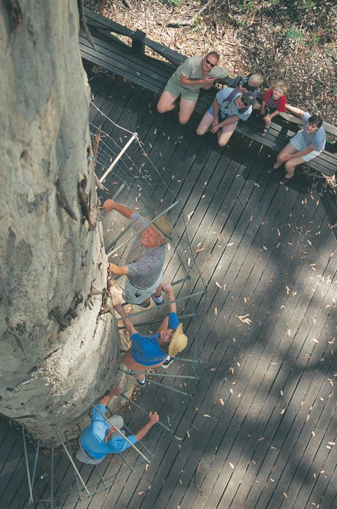 Wolfe Creek Crater Camp At Wolfe Creek Crater National Park - Gold Coast 4U 12