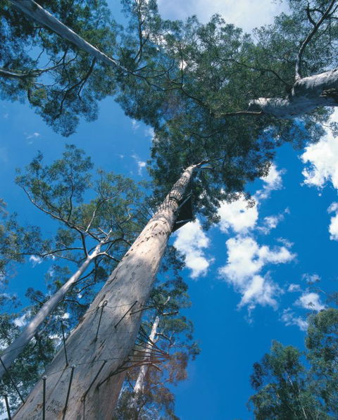 Wolfe Creek Crater Camp At Wolfe Creek Crater National Park - Gold Coast 4U 13