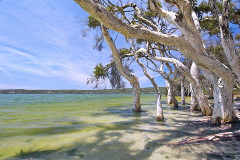 Wolfe Creek Crater Camp At Wolfe Creek Crater National Park - Gold Coast 4U 21