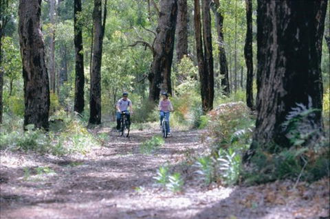 Wolfe Creek Crater Camp At Wolfe Creek Crater National Park - Gold Coast 4U 38