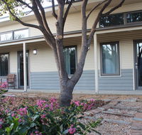 The Grape and Olive in Willunga - Accommodation Gold Coast