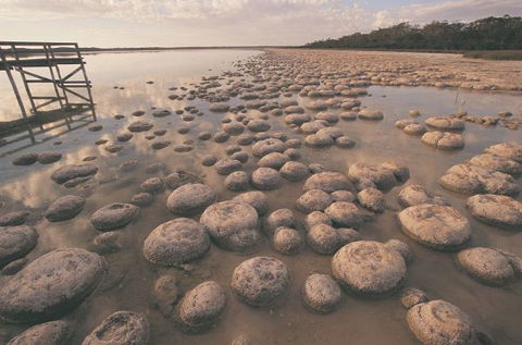 Wolfe Creek Crater Camp At Wolfe Creek Crater National Park - Gold Coast 4U 22